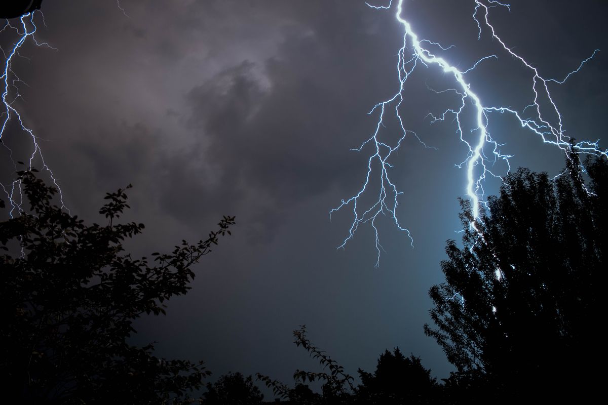 Tree Care In Vermont What To Do When Your Tree Is Struck By Lightning Wise Oak Inc 